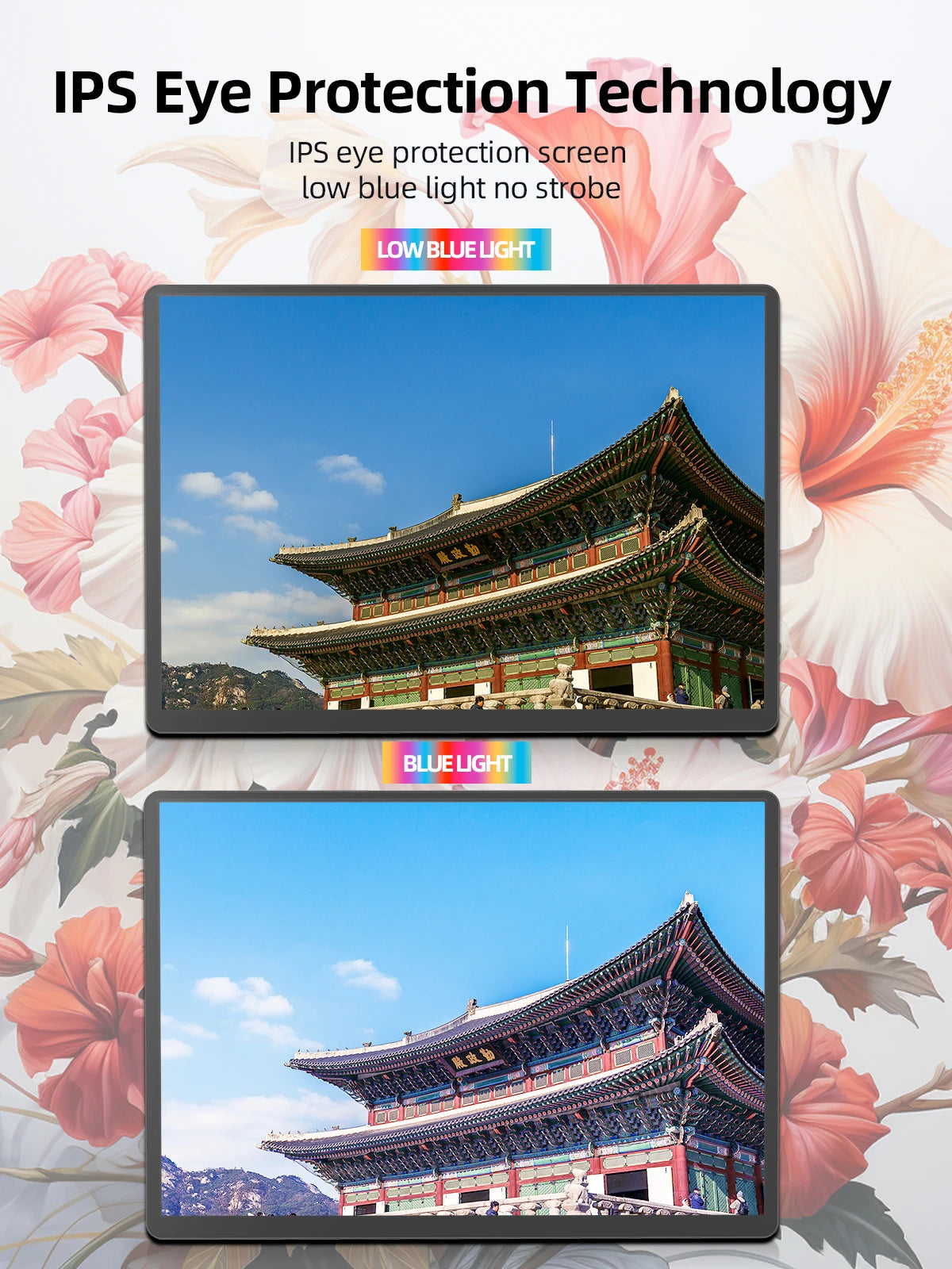 Portable Monitor 60HZ